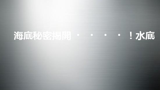 海底秘密揭開！水底清潔機器人：究竟是誰在守護著海洋的美麗？